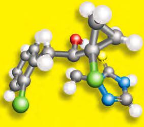 hatóanyag került piacra és vált a világ növényvédelmének meghatározó elemévé (pl. triadimefon, tebukonazol, spiroxamin, protiokonazol).