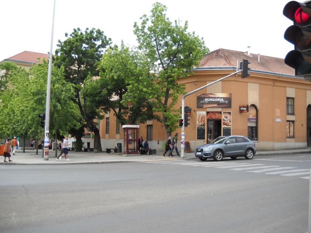 SZŰZ MÁRIA PATIKA Az 1887-ben létesült Gőbel gyógyszertárban ( Szűz Mária, Gőbel Kálmán tulajdona volt a Kórház téren, ma ugyanitt, de új helyen) nevelődött Weszelszky Gyula, a későbbi nevezetes