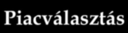 Vállalati jellemzők l