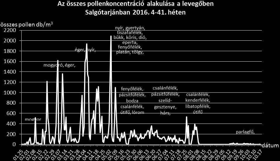 Május közepétől a tavaszi fák pollenszórása fokozatosan csökkent, virágporuk egy-egy napon még előfordult tüneteket okozó mennyiségben, de szerepüket fokozatosan átvették a pázsitfűfélék, a