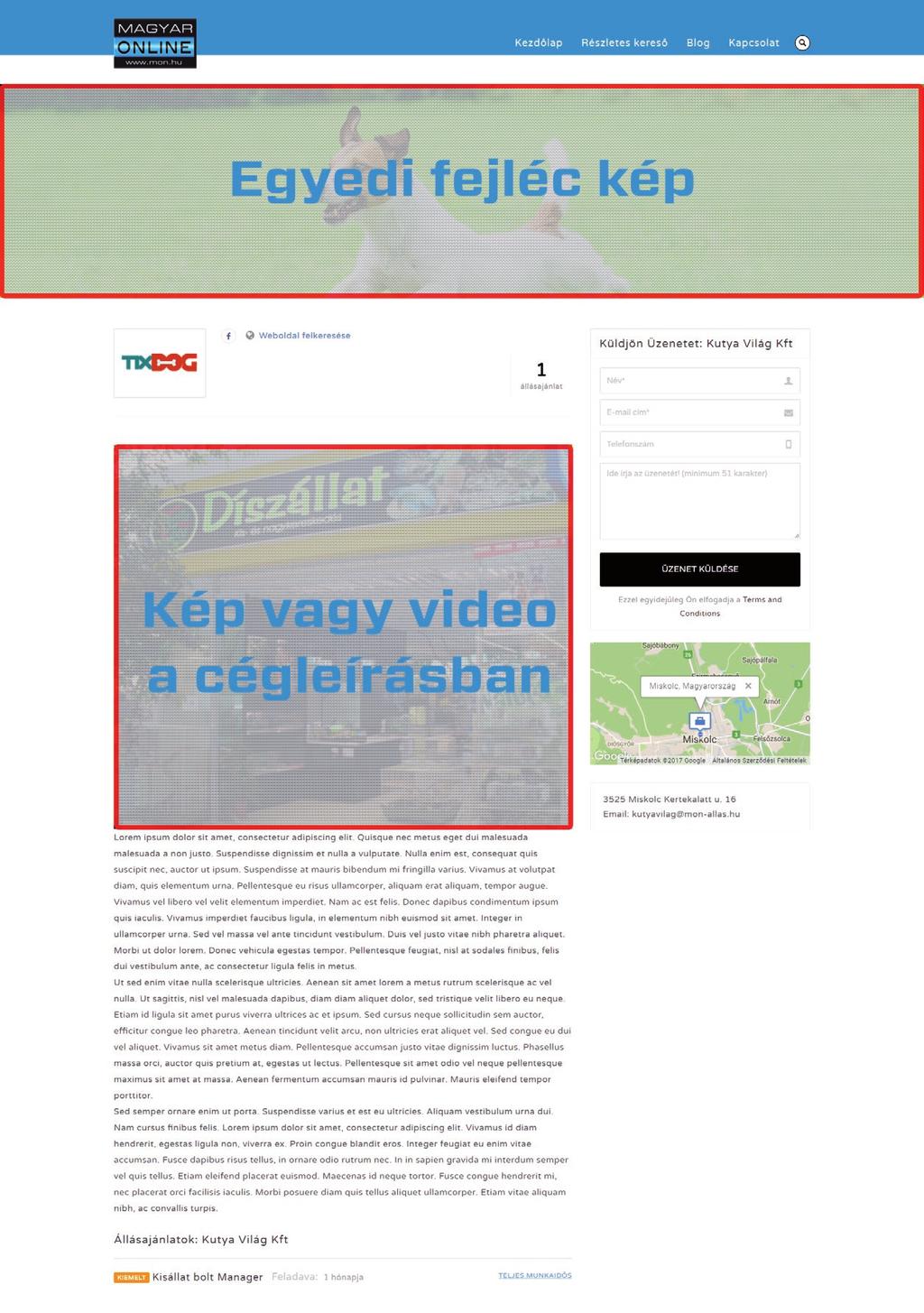 Kép vagy