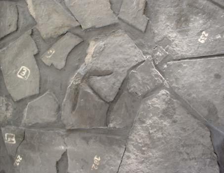 Ipolytarnócon 20 millió, Komlón 200 millió éve hagyta ott lábnyomait