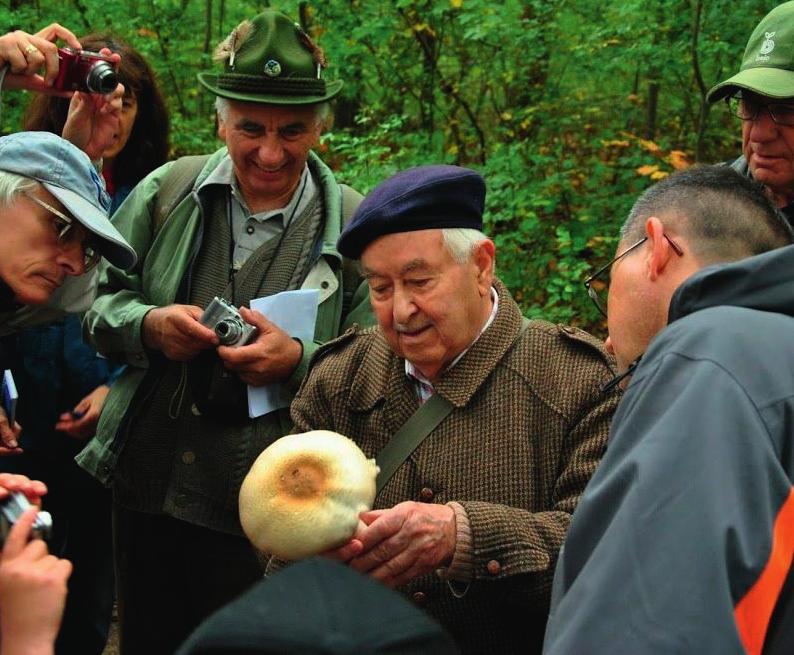 2015. február GYÓGYSZERÉSZET Előkerült az óriás csiperke Agaricus augustus is.
