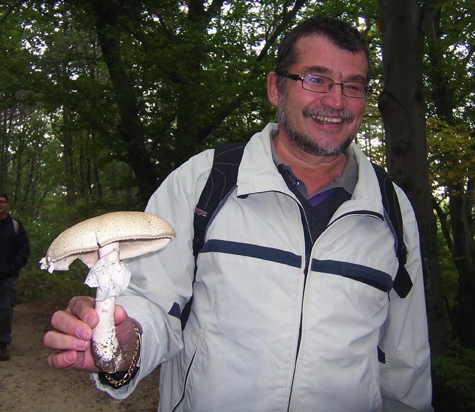 harmatgomba (étkezésre nem alkalmas) Trametes (Coriolus) versicolor lepketapló (étkezésre nemalkalmas) Xerocomus chrysenteron aranytinóru (fiatalon ehető) Xylaria hypoxylon szarvasagancs gomba