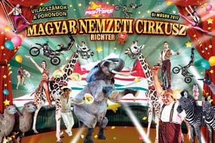 1/5 Te: 46/757-376 Mobi:+36-30/249-2164 390712 Te.: 46/402-292, 06-30/336-5528 Bemutatóterem: Miskoc, Bükk Áruház, I. em.