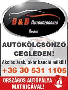 DÉL-PEST MEGYE w w w. d p m s z. h u FESTMÉNYVÁSÁR CEGLÉD, Kossuth Műv. Közp. B ép. Kossuth tér 5/a. október 26. csütörtök 11-17-ig Több, mint 250 db festményből vásárolhat, akár részletre is! Kp.