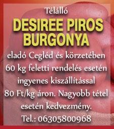 Küldjenek minél több héten megfejtést címünkre: a Dél-Pest Megyei Szuperinfó,