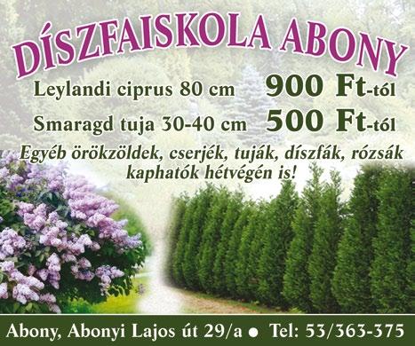 Újdonságnak számítanak a pénztárcakímélő, telefonnal vagy távirányítóval vezérelhető, fényerő szabályozható, színváltós LED izzók, melyekkel még több energiát takaríthatunk meg.