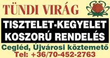 Érdeklődni: Cegléd, Pesti út. 44 vagy telefonon: +36-70/229-08-12 ELADÓ Ugyer 3. dűlőben 2896 nm területű tanya. Víz, 220-as, 380-as áram van.