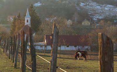 Hosszú távú célja a helyi védelem bevezetése, a falukép védelmét szolgáló szabályozásnak a felújított Rendezési tervekbe foglalása, majd az önkormányzatok által támogatott gazdasági-, társadalmi- és