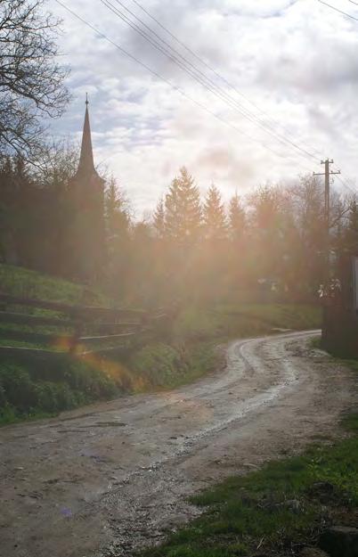 JEGYZETEK: I. Serban Sturdza, mások: Patrimoniul construit si natural al Romaniei in pericol. Masuri prioritare de protectie, Palatul Cotroceni, 2008.