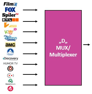 MULTIPLEXEK 2008-ban írták ki a