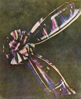 első