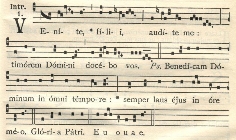 Verbum Dómini.