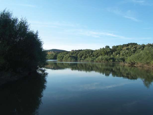 European Danube Region Strategy Cooperation in Managing Water Resources in the Danube basin area The ICPDR and the Danube Strategy Olga Srsnova (philip.weller@unvienna.