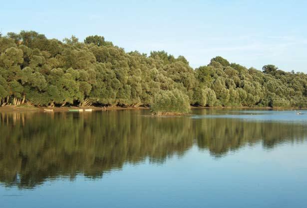 European Danube Region Strategy Danube, Slovakia s link to Europe Lajos Tuba (tuba@foruminst.
