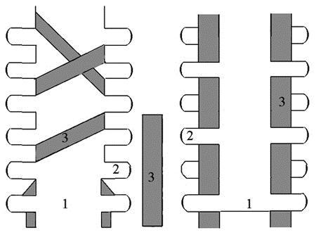 Mozgásrendszerek 5.28. ábra - Az ín-izom szerkezet 1: izomsejt, 2: tüskeszerű kitüremkedés, 3: ínfibrilla Az ín-csont átmenet (5.29. ábra) folyamatos.