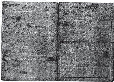 206