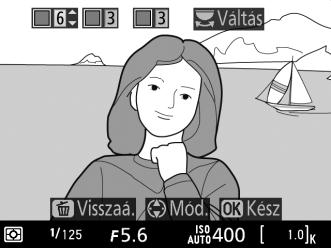 u Kiválasztott szín 1 Nyomja meg az a gombot. A tükör felemelkedik és az objektíven át látható kép megjelenik a fényképezőgép monitorán. a gomb 2 Jelenítse meg a beállításokat.