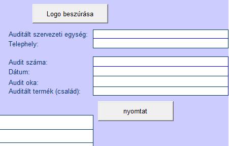 Ugyanitt adhatjuk meg az alapadatokat is, mint az auditált szervezet neve, címe (telephelye), valamint a dátum és az audit száma.