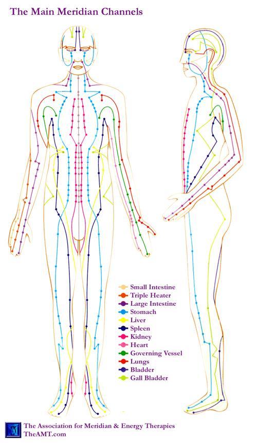 I. A testmodell radikálisan más testmodell, mint a nyugati biomedicina testmodellje qi mint szervező energia, mely a meridiánokban áramlik Egészség: szabad és akadálymentes qi-áramlás meridiánok