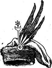 11 Miután a huszárezredek könnyed, mozgékony harcmodorukkal a harctéren igen jól beváltak, számukat 1702-ben öttel szaporították.