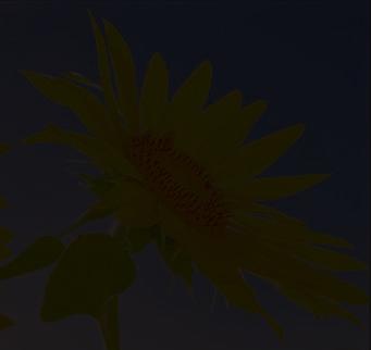 1366x768 Cikkszám: