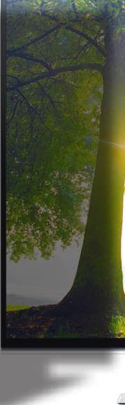 CMES FULL HD  3D