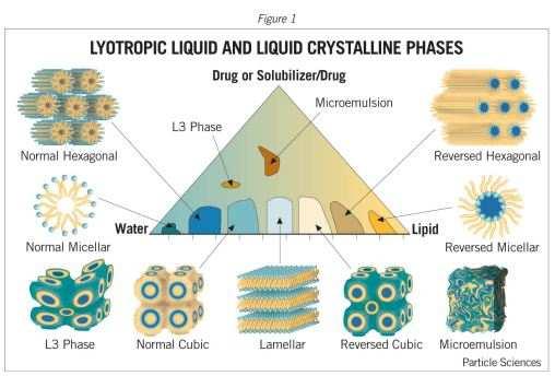 Lipid/víz