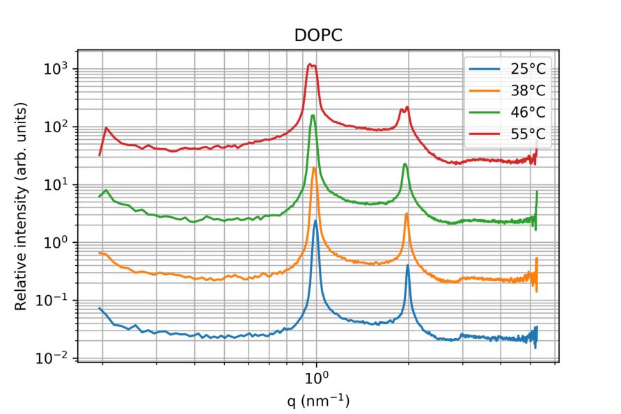 DOPC Csúcshely-arányok: 1, 2, (3) Hőmérséklet 25 C 38 C 46 C 55 C Fázis L