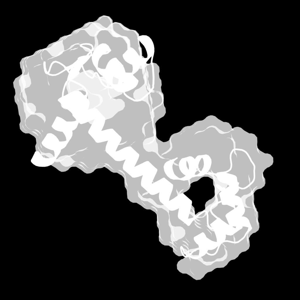 rendezetlen (linker rész) Dummy atom modell: Súlyzó alak Apo konformáció lazább Ca 2+