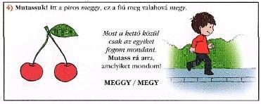 program piros keretet rajzolt a hagyományos tesztfelvételi módban mutatással jelzett kép köré. Ez, miután előre történő időzítéssel történt, mindenki számára egységes volt.