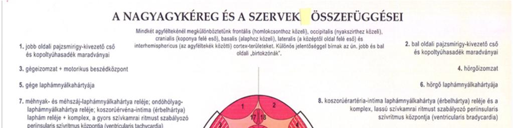 A jobb és balkezességen kívül a konfliktus becsapódását még befolyásolja a hormonális status is. Ilyen változást okoz a várandóság és a klimax.