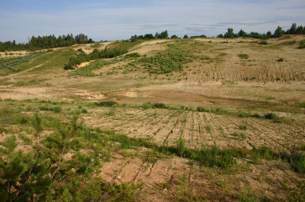Bakonyoszlop 9.