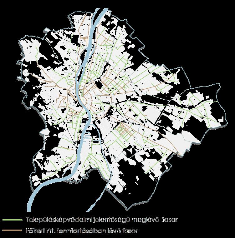 Digitális fakataszter honlapjának létrehozása a lakosság tájékoztatására, a közösségi érdeklődés és felelősség felkeltésére 2.