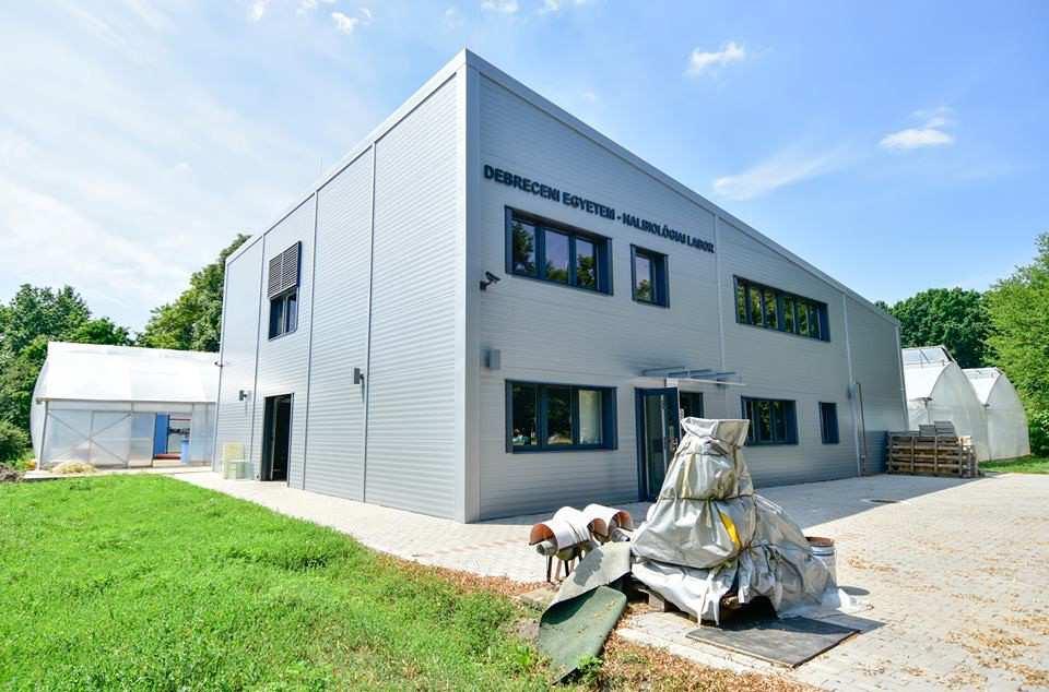 FEJLESZTÉSI TERÜLETEK 1) Meglévő halbiológiai labor bővítése, korszerűsítése -Szintmegosztás, energetikai korszerűsítés, hőszigetelés, nyílászáró-csere - Megújuló energiák használata - Technológiai