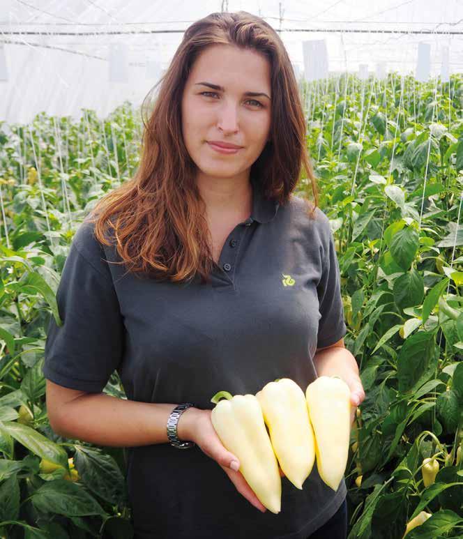 seeds&sharing Rijk Zwaan