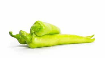 Hegyes erős paprika Kápia paprika Thunder RZ F1 Rush RZ F1 Porteca RZ F1 Fóliás és szabadföldi termesztésre is Dinamica RZ F1 Nagy méretű kápia fajta elsősorban Erős növekedésű, extra nagy bogyómé-