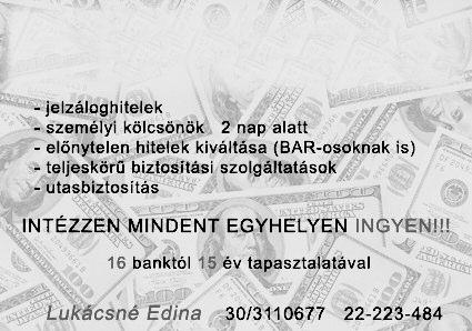 kiegészítéssel) vállal számlaképes pedagógus-házaspár általánosés középiskolások részére. Érd.