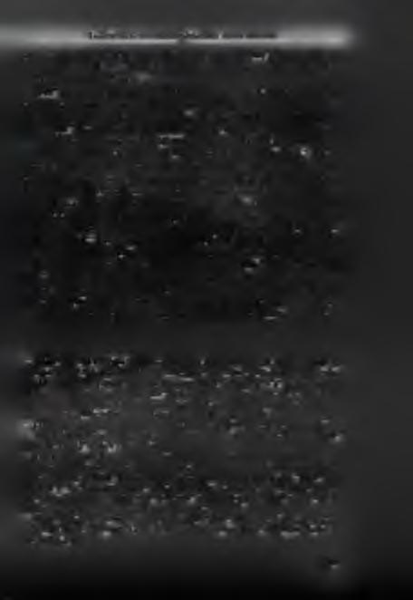 E g y h á z a k az á ll a m b iz t o n sá g i d o k u m e n t u m o k b a n szerveződő Politikai Nyomozó Főosztályon belül 1957.