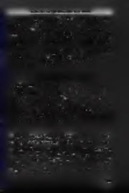 E g y h á z a k az á ll a m b iz t o n sá g i d o k u m e n t u m o k b a n és a cionizmus elleni hírszerzést.