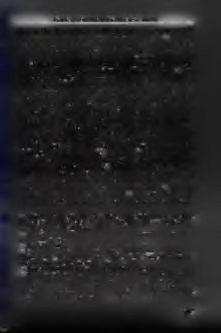 E g y h á z a k az á l l a m b iz t o n sá g i d o k u m e n t u m o k b a n dóság meghurcoltatásával, valamint illegális cionista szervezkedéssel vádolt személyek, szervezetek tevékenységével