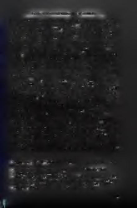 E g y h á z a k a z á ll a m b iz t o n sá g i d o k u m e n t u m o k b a n lásokban is alkalmazott eljárás volt az internálás intézménye, de ekkor már közbiztonsági őrizetnek hívták. A 2. 5. 7.