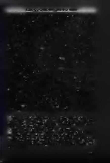 E g y h á z a k az á ll a m b iz t o n sá g i d o k u m e n t u m o k b a n A 3. 2. 4.
