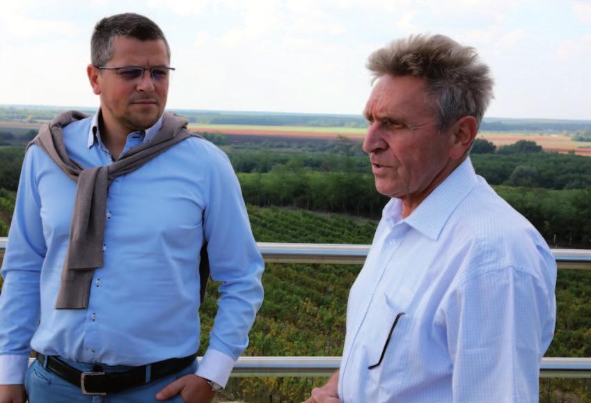 borigo CÍMLPON Pécsinger Szőlőbirtok Tényőbe vezető út mentén a völgy fölött balra a Báródombon magasodik a zöld, szokatlan, az apátsággal egyező tájolású feldolgozó.