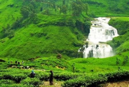 (transzfer idő kb.: 4 óra). Nuwara Eliya kis Angliaként ismert. Megtekintjük a teabokrokkal borított hegyeket és a lépcsőzetes vízeséseket.