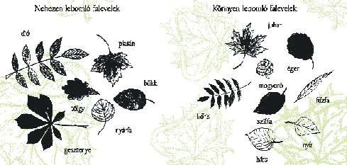 melyekből számunkra a kerti és háztartási hulladék az igazán fontos. Mi kerülhet a komposztálóba?