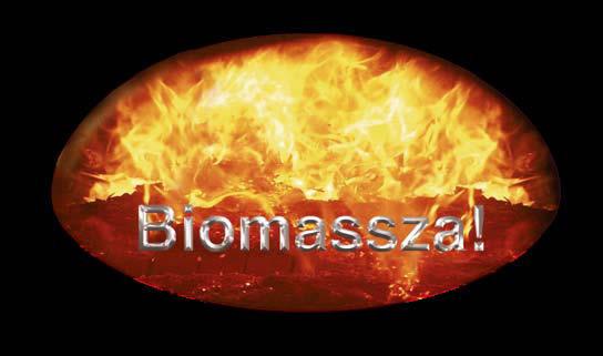 Biomasszából nyert energia