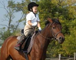 Kun Horse Farm The Horse Farm located in Karcag, the capital of Greater Cumania offers horse riding, instruction and therapeutic riding as well.