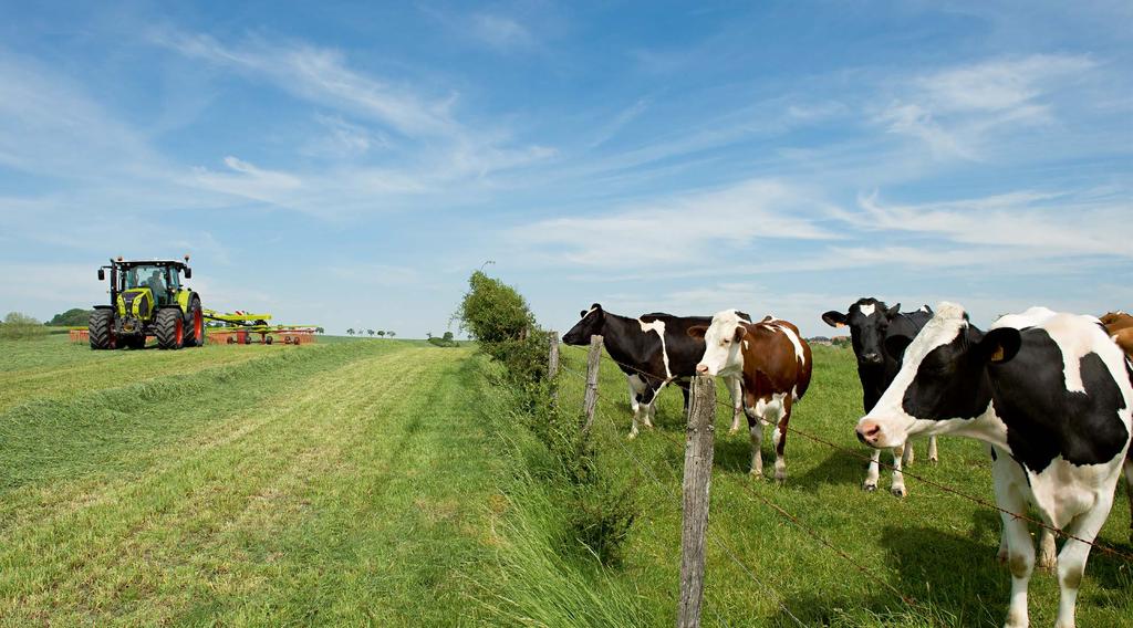 Optimális minőség az ínyenceknek, és mindenki elégedett. Csúcsminőségű termény Kiemelkedő terményminőség. Az időjárási viszonyok miatt a betakarítási időszakok gyakran elég rövidek.